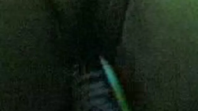 ゼス 女の子 の ため エッチ 動画