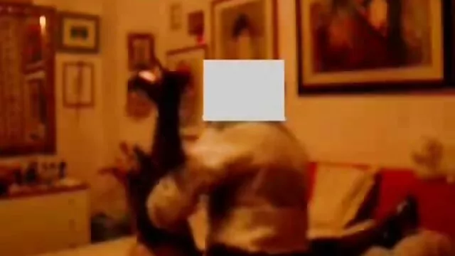 野生オクトーバーフェスト輪姦パーティ loveh 動画