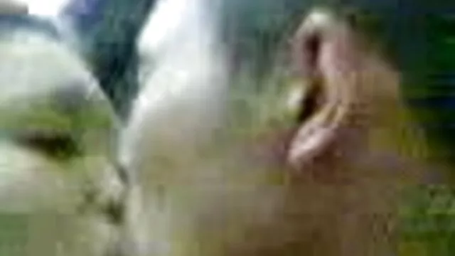 妻チーズヒット黒コック 女性 向け エロ 無料 動画