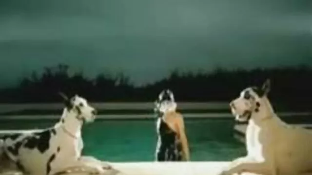 娼婦を通しての森 女性 の ため の エッチ な 動画 無料