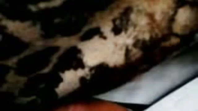1隣人の娘クソ 女性 の ため の エッチ な 動画