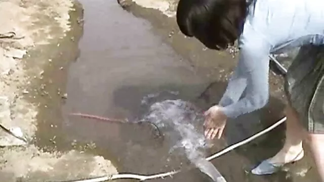 快楽レズエロ、、、okと呼んでいます。 h 動画 シュガール