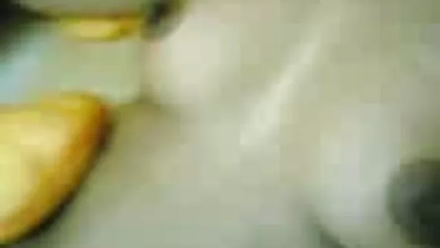濡れた厚手の猫-シーン4-再生産 女 向け エロ 動画